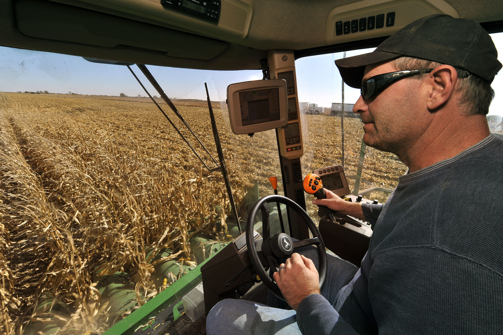 Harvest time